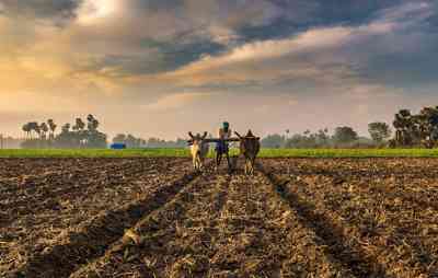 Jammu & Kashmir: अब सभी समुदायों के लोग खरीद-बेच सकेंगे कृषि भूमि